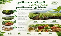 گیاه سالم، تولید سالم، غذای سالم